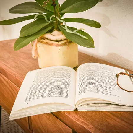 דירה Lumineux - Elixir - Parking Prive