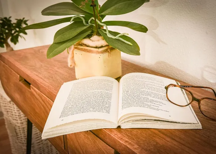 Apartment Lumineux - Elixir - Parking Prive